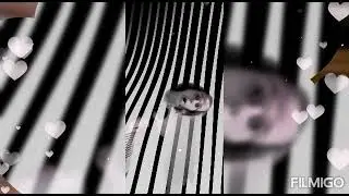 Моё видео