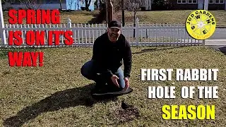Dealing With Garden Critters: How To Identify a Rabbit Hole