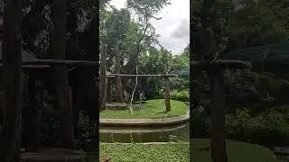 Cute Animals