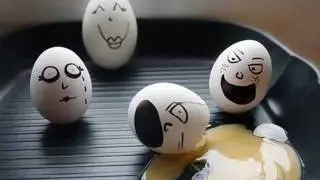Egg Life
