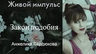 Закон подобия. Анжелика Сердюкова