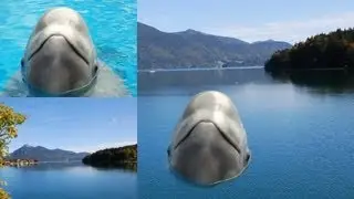 GIMP 2.8 tutorial - Photo Manipulation - Whale in a Lake