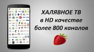 Watch free tv on android - 800 CHANNEL😎. Channels for real men. Without SMART TV