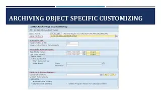 SAP DATA ARCHIVING  - PART 3 - ARCHIVING OBJECT SPECIFIC CUSTOMIZING