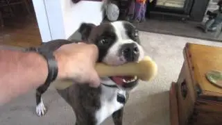 Archie Plays