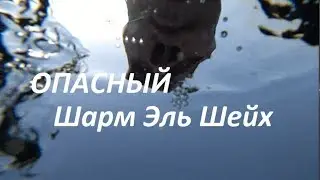 Опасный Шарм Эль Шейх. Последний день чуть не стал последним. Шампанское на пляже. Течение.