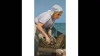 #юмор #единоросы