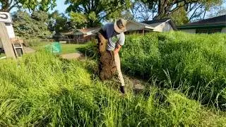 They mowed the yard ONE TIME and NEVER CAME BACK