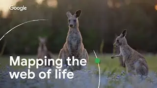 Mapping the Web of Life | Google’s AI for Biodiversity