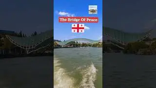 Peace Bridge, Tbilisi #shorts #travel #ritzyventurez #tbilisi