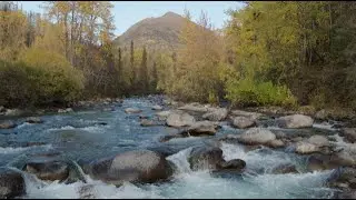 Watershed-scale Climate Influences Productivity of Chinook Salmon Populations Across SC Alaska
