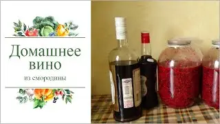Как приготовить домашнее вино из смородины. Не пожалеете!
