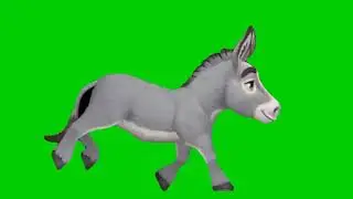 Donkey running green screen| Editor G