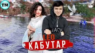 LEO - КАБУТАР  LEO - KABUTAR 2023