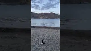 Дальнобой на рыбалке ￼