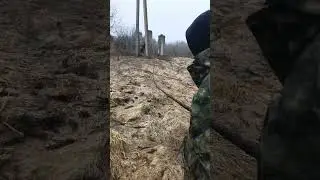 #коп2024