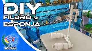 Como Hacer Filtro de Esponja (F A C I L  Y  R A P I D O) D.I.Y.