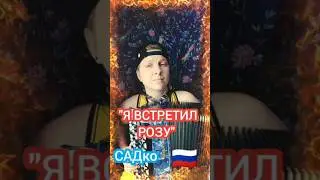 Я встретил розу - народная песня на баяне #баян #баянист #топ #народныепесни #садко