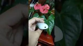 remote Chromecast with google tv