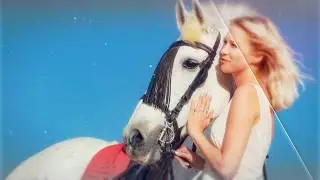 Horse - Photoshoot on the Beach of Fuerteventura