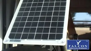 Falcon 10W Solar Panel