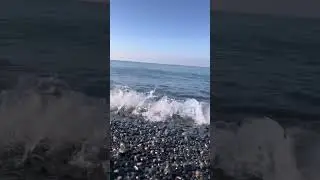 Всего один звонок. Позвони мне, позвони! #Shorts