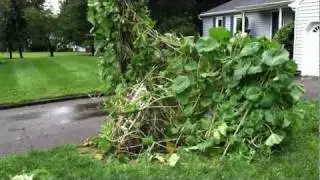 Hurricane Irene hit my Front Yard Veggie Garden