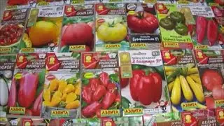 Море семян от Агрофирмы АЭЛИТА!
