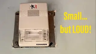 NEW DEVICE! Edwards Genesis