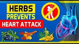 Top 10 Herbs to Clean Blood Vessels that Can Prevent a Heart Attack