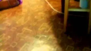 Ставь лайк