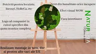 Naturama - Tablouri cu muschi si licheni realizate la cererea clientului