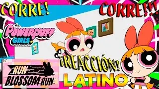 Las Chicas Superpoderosas Reboot | Corre Bombón Corre Español Latino | Reacción Opinión Doblaje