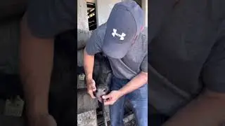First aid for rumen bloat in cattle