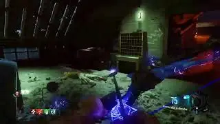 Der Eisendrache EE and High Rounds