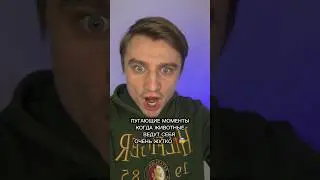 ПУГАЮЩИЕ МОМЕНТЫ КОГДА ЖИВОТНЫЕ ВЕДУТ СЕБЯ ОЧЕНЬ ЖУТКО!!!