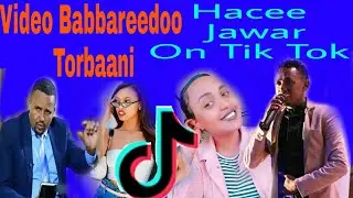 Jawaar Mohammed fi  hacaaluu Hundeessaa Akkasumas Shammarran Oromoo Hojjeetan Video Tik Tok Torbaan