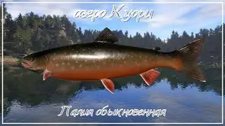 Палия обыкновенная - озеро Куори - РР4┃maXS1k