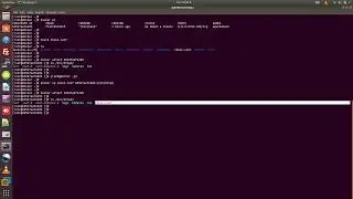 Copy Data From Docker Host To Container