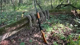 Squirrel Hunting Madness (BEASTMODE)