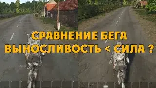 Новые секреты SCUM: Сила или выносливость?