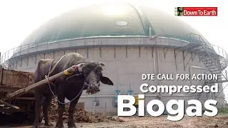 Compressed Biogas (CBG) | Call For Action