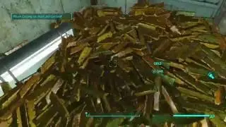 Fallout 4 Box Of Gold