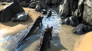 Game Ark survival evolved game not starting black screen