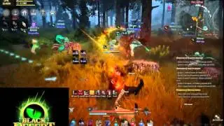 BDO пвп в лесу