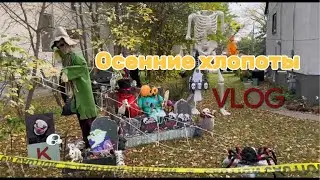 VLOG Осенние хлопоты