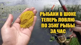 Киньте ЭТО в воду и вся РЫБА будет КЛЕВАТЬ 24 часа на рыбалке! Весной вся рыба дуреет от этого