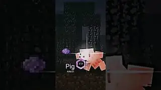 Alan Becker (Cursor) VS Pig (Potions) 