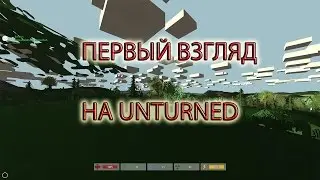Первый взгляд на Unturned