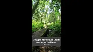 Cougar Mountain Trail Run Scenery 